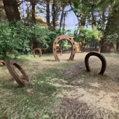 Horse Shoes 