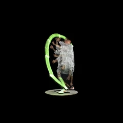 Fullbody 3Dscan iris - 3D Gaussian splatting slow shutter sample3 [3M splats]
