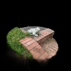 Stone Frog