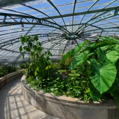 Victoriahaus, University of Basel Botanical Garden, Basel, Switzerland