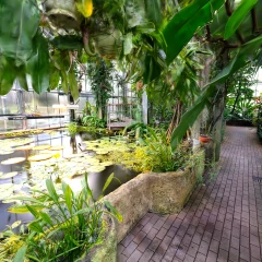 Botanical Garden - Victoria House (VR Ready)