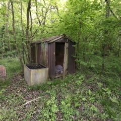 Cabin In The Woods (Walkable Splat)