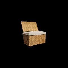 Dog's Toy Chest