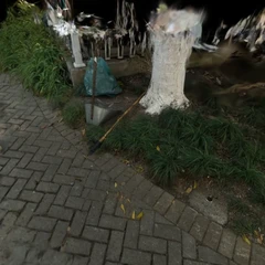 260109