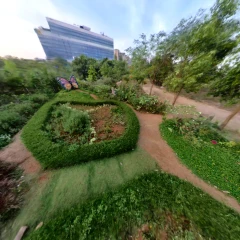 Garden, Botanical Park