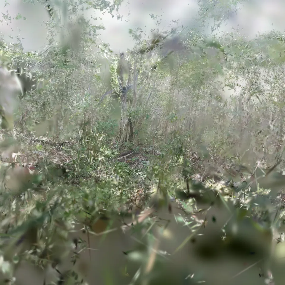 3DGS_Sinkhole_Jungle_Cancun, MX