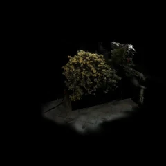 植物测试