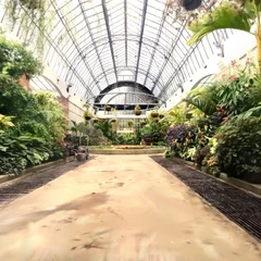 Auckland Domain winter garden SD