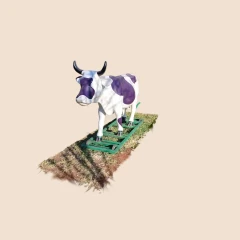 Purple Cow