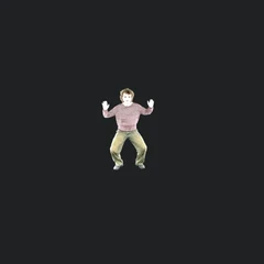 Robin " Hands up "