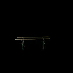 Gymnastics - Parallel Bars