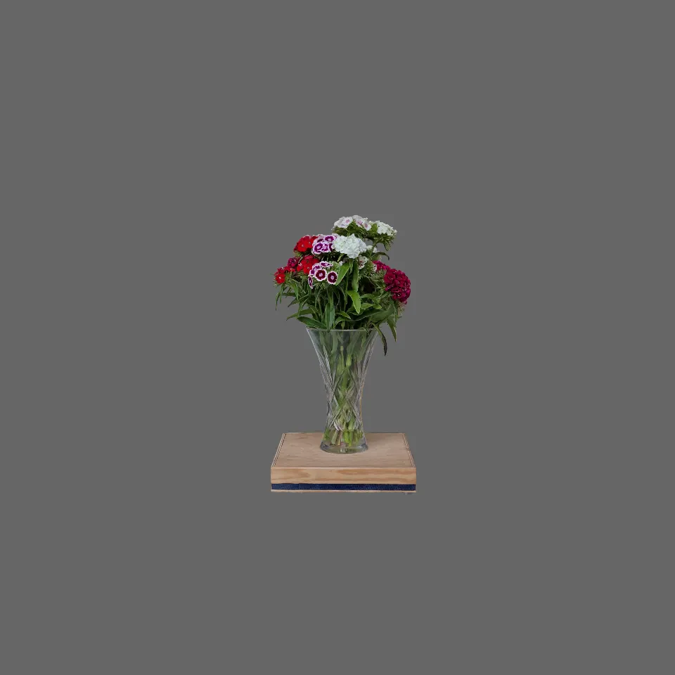 Flowers in a vase