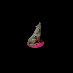 Taxidermy_Schlossmuseum_Wolf