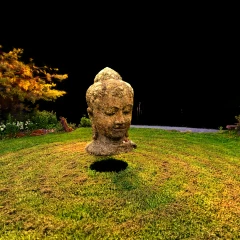 buddha lawn composition