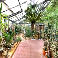 Botanical Garden - America v3 (VR Ready)
