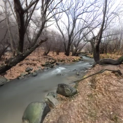 乌兰布统-小溪