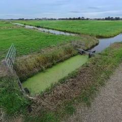 Drijverstuw bij weidevogelgebied Pijnacker