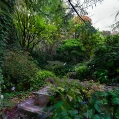 Botanical Garden - Little Creek