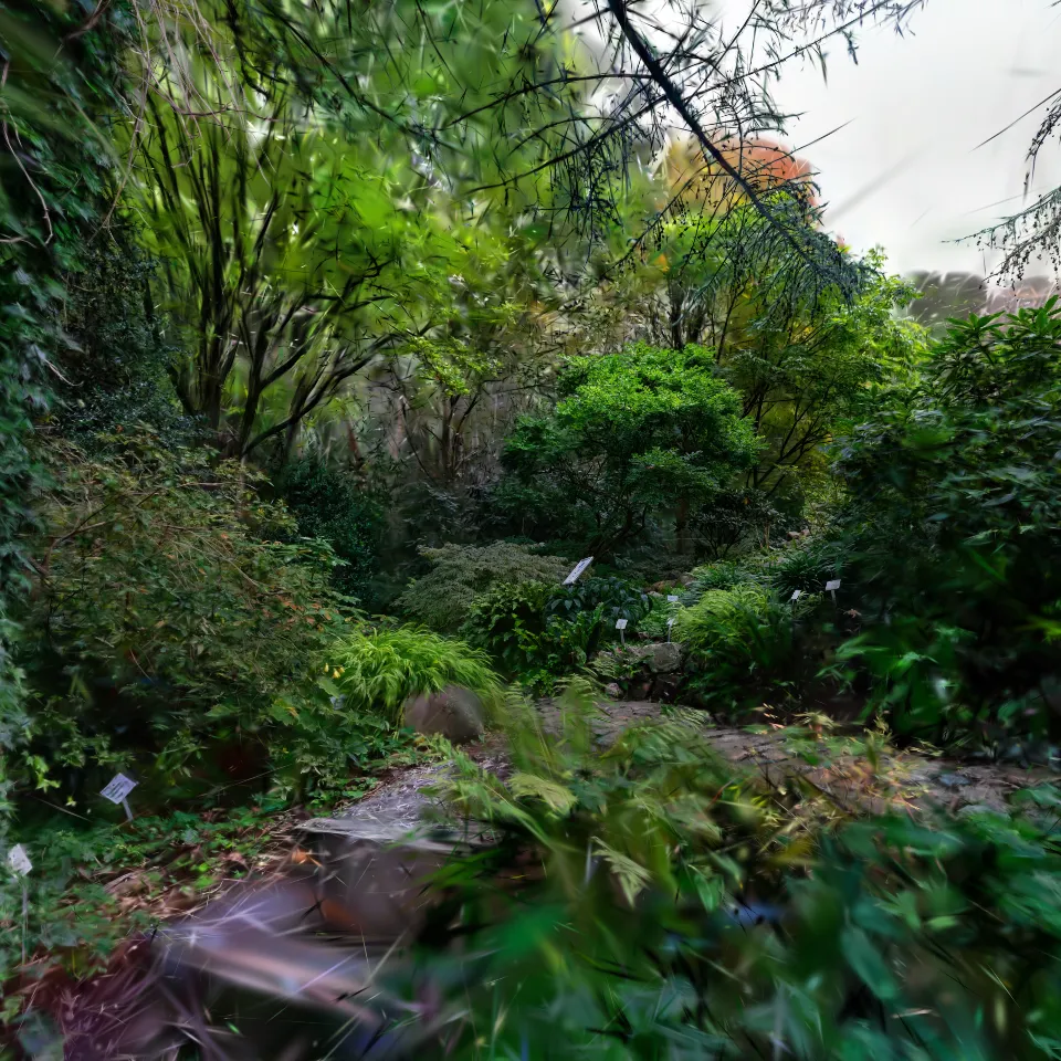 Botanical Garden - Little Creek