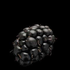 Blackberry