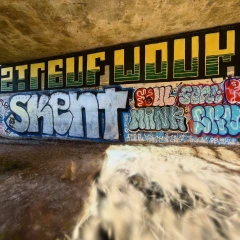 S Monkey Wall Art