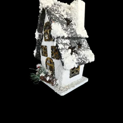 Snow Igloo