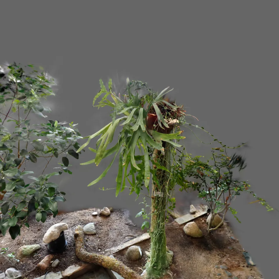 Tartu Botaanikaaed 9