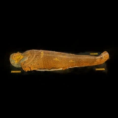 Mummy of Nesimin