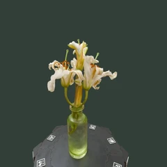 Lilies