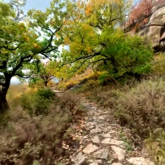 scene