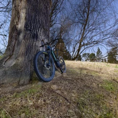 Where it belongs..