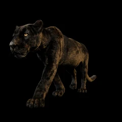 3DGS BlackJaguar