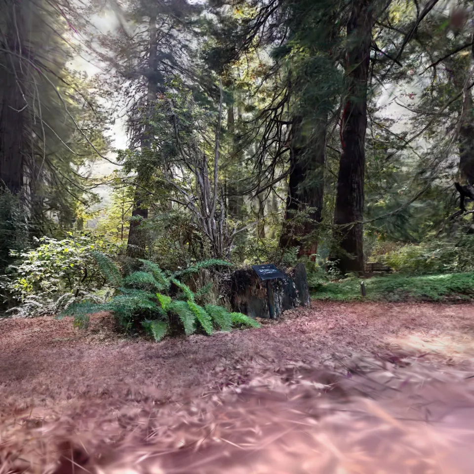 Redwood Grove — Compressed PLY