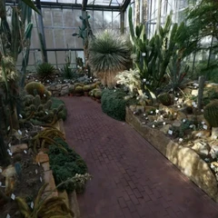 botanica