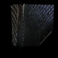 Duck Feather (High Magnification)