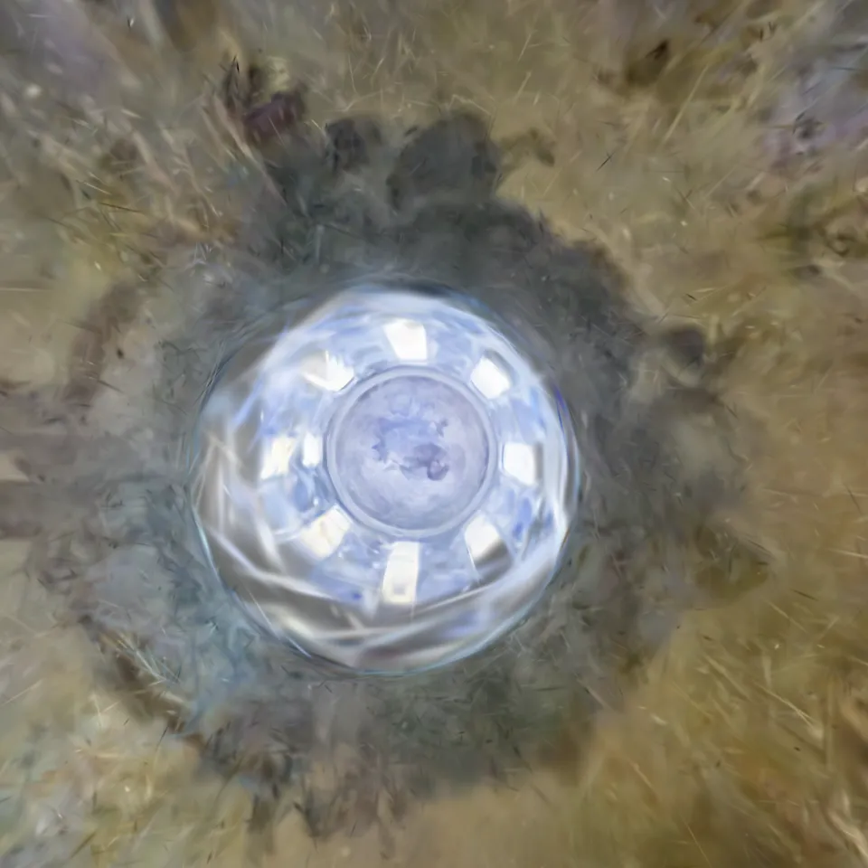 Ceiling Basilica di Sant'Andrea