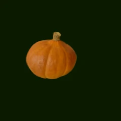 Pumpkin