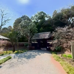 偕楽園_a