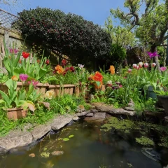 English Garden