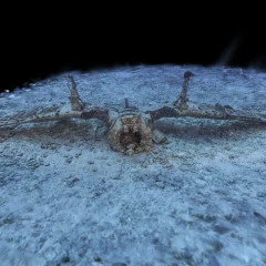 Underwater Plane Wreck - Reconstructed with Seeget3D