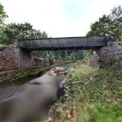 environment