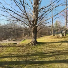lookout