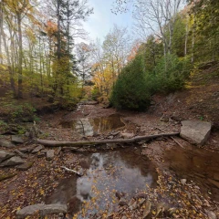 Riverbed in Autumn 