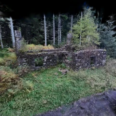 2024_10_14 Lodge Craigvinean Forest Perthshire Scotland