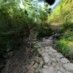 Bamboo Grove Path Part1