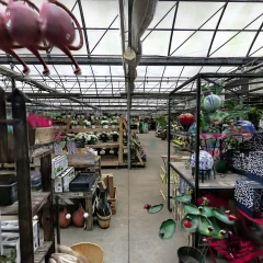 Salisbury Greenhouse
