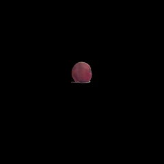 Pome Granate