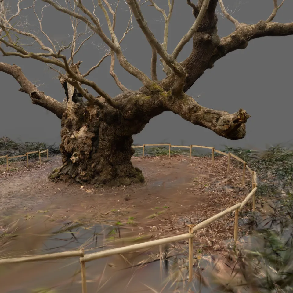 OldKnobbly.compressed