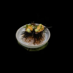 Uni & Scallop Ceviche by Holbox