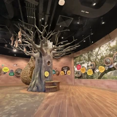 Nest Exhibit